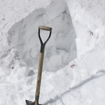 これから何が…