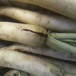 鳳凰三山積雪情報