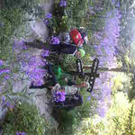 秋の気配の穏やかな良い天気が一日続きましま。ブログくんたちはカラボンベを下ろし町まで買い出しに行き御座石鉱泉からの日帰りボッカです。下界は暑くて大変でしょう。はつぼっかのあやさん大丈夫かな。