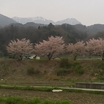 今朝の鳳凰三山。曇り空ですが山は見えます。