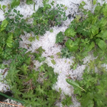 夕方の５時気温は4 度、寒いです。