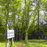 広々とした燕頭山頂。御座石温泉から２時間５分、今日は快調。