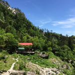 ただいまの鳳凰小屋