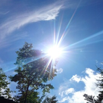 気温15℃、いいお天気です