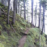 燕頭山付近での苔むした林の中の登山道。