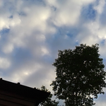 今朝は雲があるものの予想に反してはれ、鳳凰小屋の気温は１２度、水温６度です。