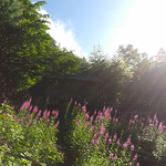 鳳凰小屋の今、快晴です。