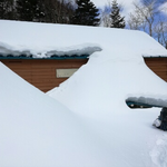 現在の鳳凰小屋の様子