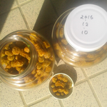 一昨年に干した梅干し。味も香りも変わらず美味しいです。