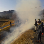 今日は穏やかな良い天気です。町内一斉の芝焼きの日です。