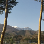 春真っ盛り? 。そんな暖かい日でした。