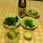 今日は啓蟄、春を感じさせるこの頃です。