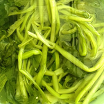 地菜の油炒め。