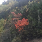 通行止めのお知らせ。