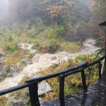 鳳凰小屋危機一髪 ～台風19号で一変した景色～