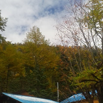 天気が回復して晴れ間が広がっています。明日は快晴の予想新雪の北岳とカラマツの黄葉、素晴らしい眺望が期待出来そうです。