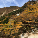 目指せ金の裏山、あやしい探検隊その２