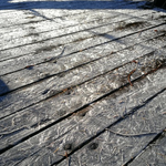 今朝は気温マイナス2℃。今シーズン一番の寒さ。空気の澄んだ美しい朝です。