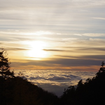 今日も快晴のいいお天気。青空の下、焼きいも焼いています