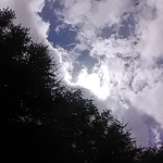 今日は雨は降らず曇り空で時々晴れ間。