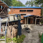 今日は気持ちいいお天気☀朝9℃、お昼18℃ キベリタテハ🦋が遊びに来ました