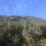 無風快晴の素晴らしい天気です。気温は9度。やっと秋空に似合う気温になりました。