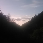 今朝の気温は15度。温かい朝です。夜半の雨は朝には上がり晴れました。