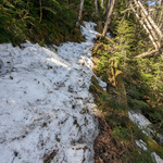 【登山道情報5月4日】GWとしては異例の雪の少なさです。注意点も。