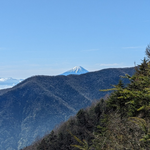 5月4日稜線の登山道整備の様子です。