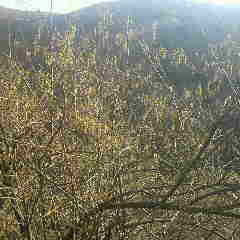 2012033016030002.jpg