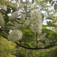 2012051111200002.jpg