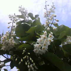 2012051209110000.jpg