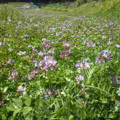 2012051310210002.jpg