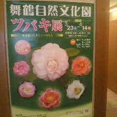 2013033017460000.jpg