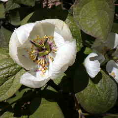 二週間ぶりに下山。浦島太郎の気分です。