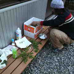 山菜でちいさな宴を楽しむ。