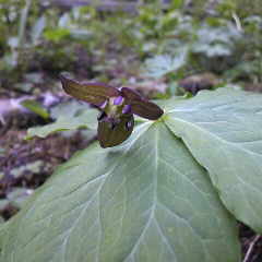 今日は１日良い天気でした。