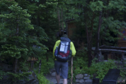 トラツグミの鳴く夜