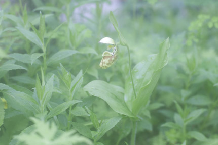 問い合わせ殺到中