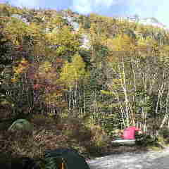 鳳凰小屋のテント場風景。
