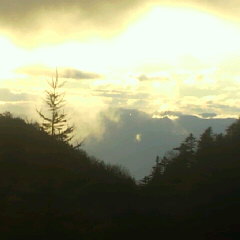 台風は風雨ともに大した事もなく過ぎ去りました。