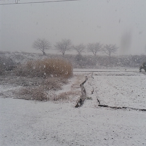今日は昼前は晴れ、午後は雪、今は雨です。