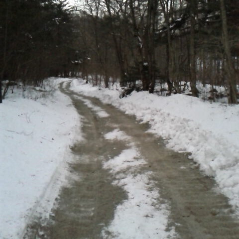 鳳凰三山は1 日雲の中。林道の除雪と砂撒き