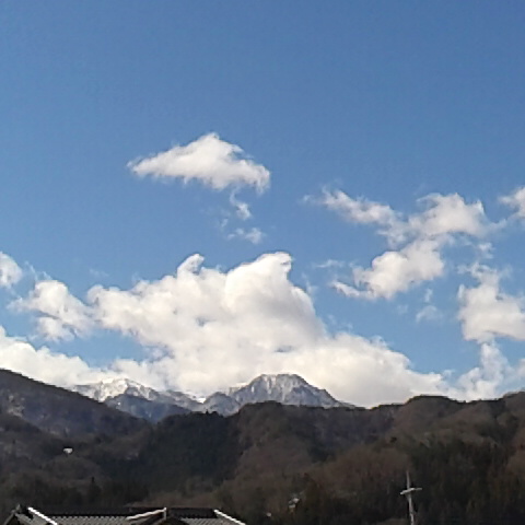 今日は雨水。風が冷たいものの日差しは暖かいです。