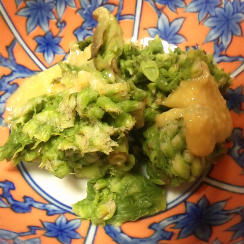 フキノトウの酢味噌あえ。