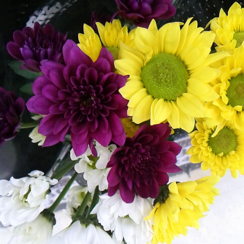 青年日本の歌。二、二六事件、昭和維新の歌。