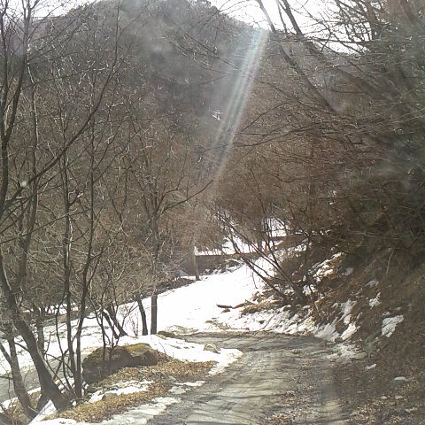 小武川林道の御座石温泉までの積雪情報。
