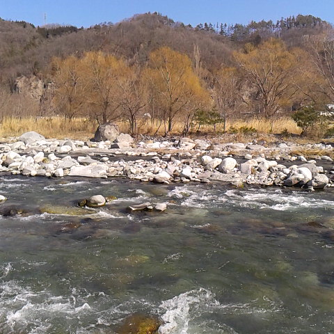 昨日、今日と春めいた気候です、鳳凰三山に県内の大学山岳部の方たちが登りました。