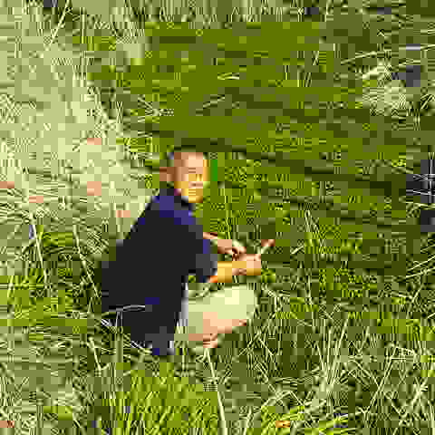 ぽかぽか陽気の中でクレソン採り。