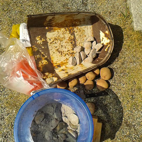 今日は初夏を思わせる暖かさ。アマガエルの初鳴きを聞きました。暖かい日差しの中でジャガイモを植えた。